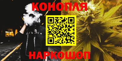 spice Кингисепп