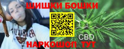 spice Кингисепп