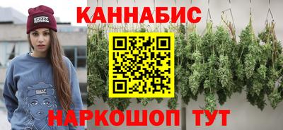 spice Кингисепп