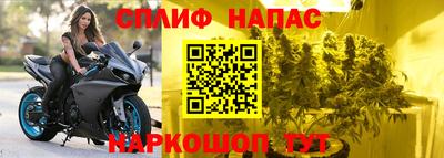 spice Кингисепп