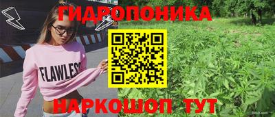 мдпв Кимры