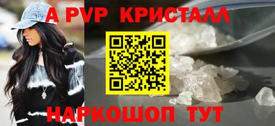 spice Кингисепп