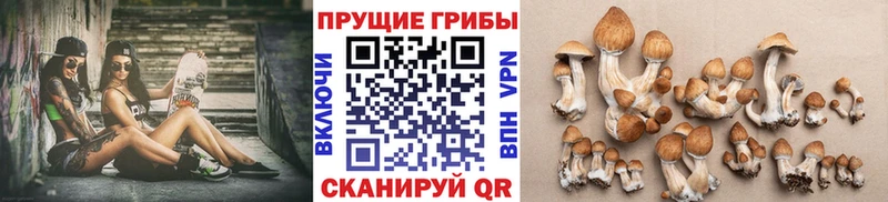 хочу наркоту  Тула  Галлюциногенные грибы мицелий 