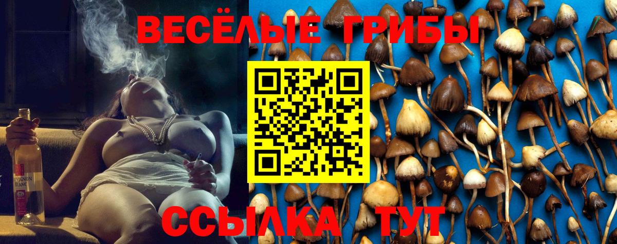 Тула  Псилоцибиновые грибы мухоморы  Вход с VPN 