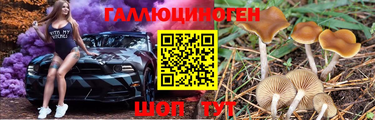 Галлюциногенные грибы мицелий Тула